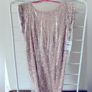 Blush Adrianna Papell scoop neck sequin gown dress